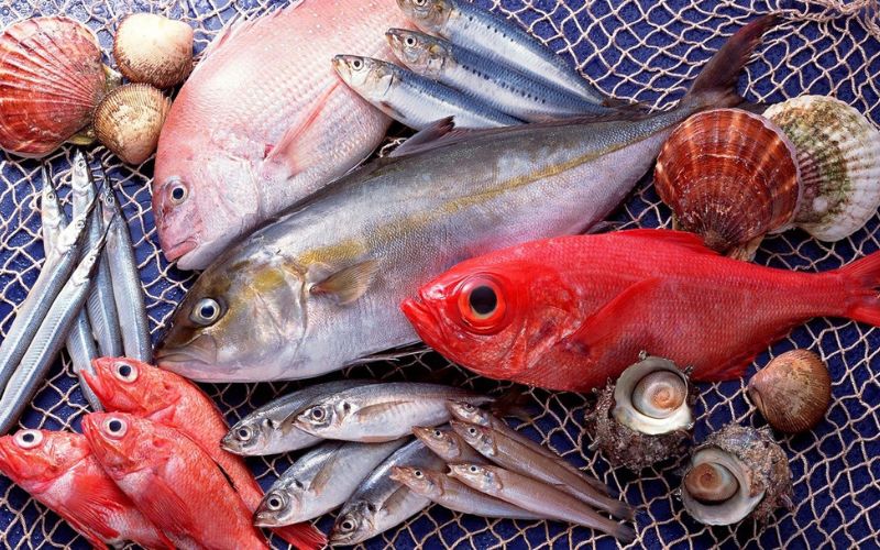 Tác hại của việc ăn cá chứa thủy ngân