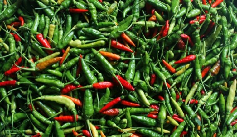 Giá ớt hôm nay 21/10/2022: Tiếp tục giảm mạnh từ 2000 - 4000 đồng