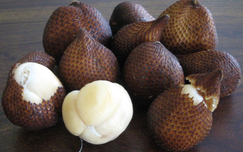 Salak fruit