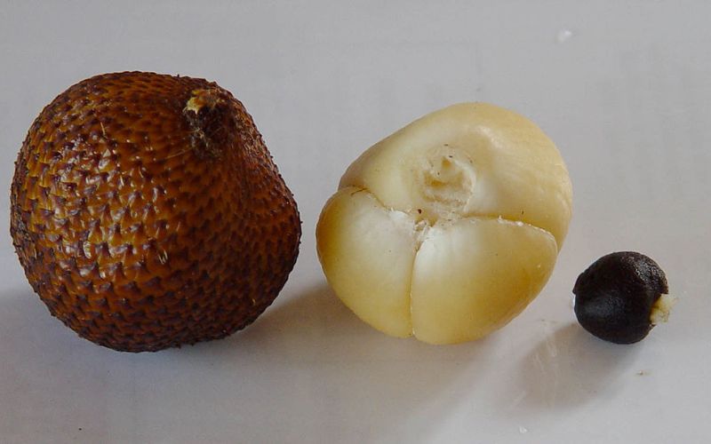 Salak fruit flesh