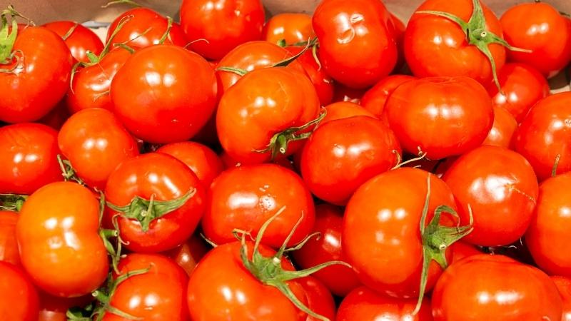Ăn nhiều cà chua giúp kháng khuẩn và ức chế sự tăng sinh quá mức của biểu mô tiền liệt tuyến