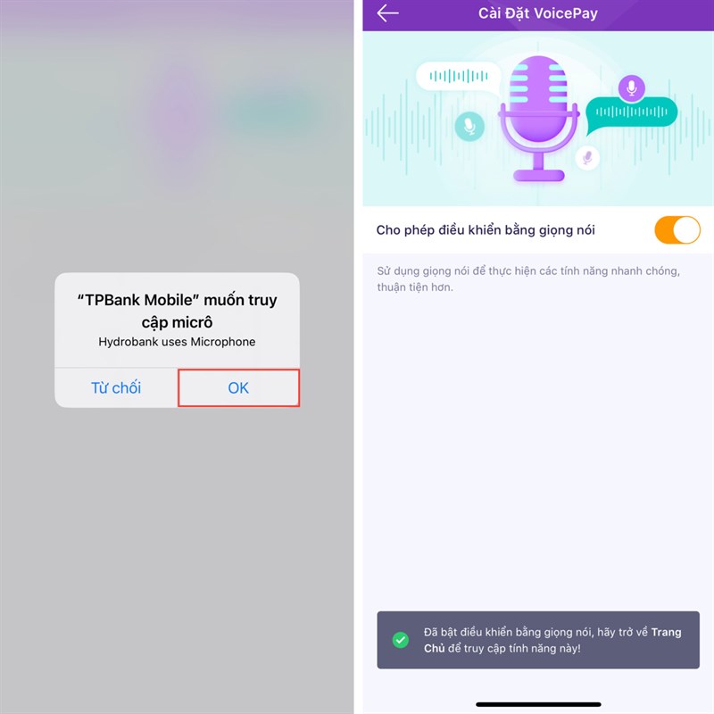Cách chuyển tiền bằng giọng nói