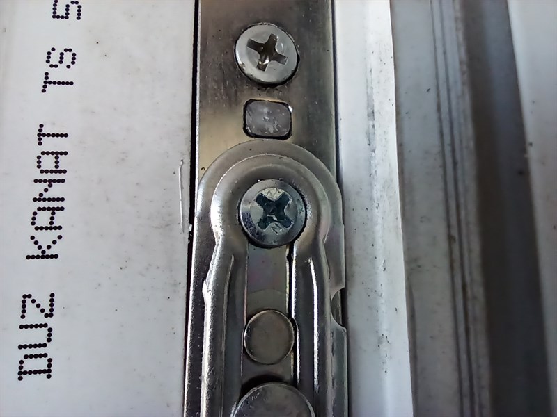 Ảnh chụp bởi camera macro của POCO M5s khi được căn chỉnh khoảng cách hợp lý