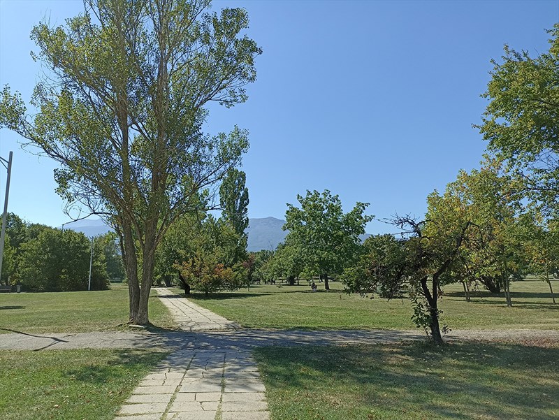 Các chi tiết ảnh chụp từ POCO M5s đôi khi sẽ bị mất độ nét ở những chi tiết phức tạp