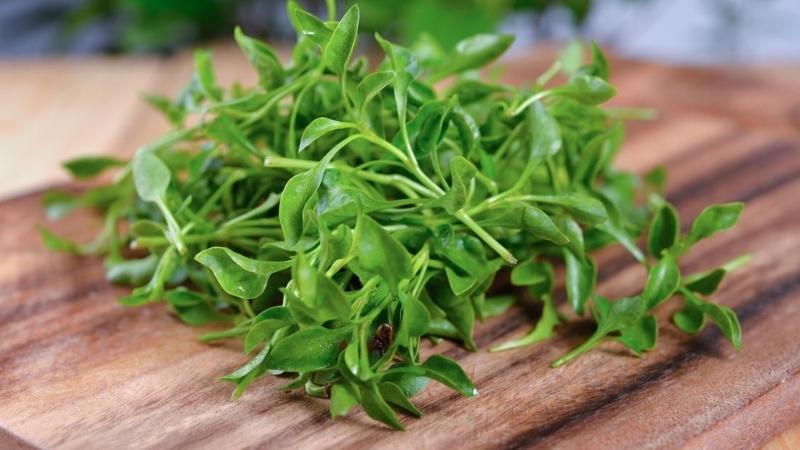 Cải xoong giúp tăng cường lượng oxy cho da, giúp da luôn khỏe đẹp[