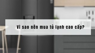Vì sao nên mua tủ lạnh cao cấp? 6 lý do nên sắm ngay tủ lạnh cao cấp cho gia đình bạn
