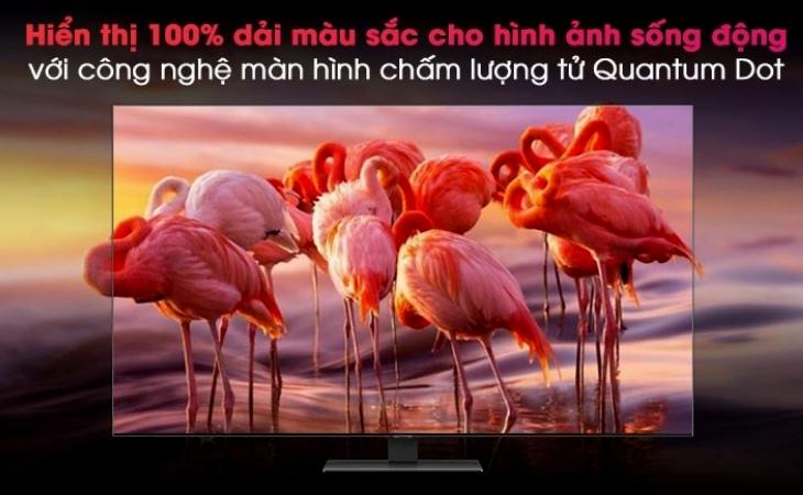 Smart Tivi QLED 4K 50 inch Samsung QA50Q80A trang bị màn hình chấm lượng tử Quantum Dot