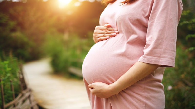 Tác dụng của hà thủ ô có thể gây độc cho phụ nữ trong thai kỳ
