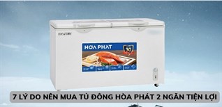 7 lý do nên mua tủ đông Hòa Phát 2 ngăn tiện lợi