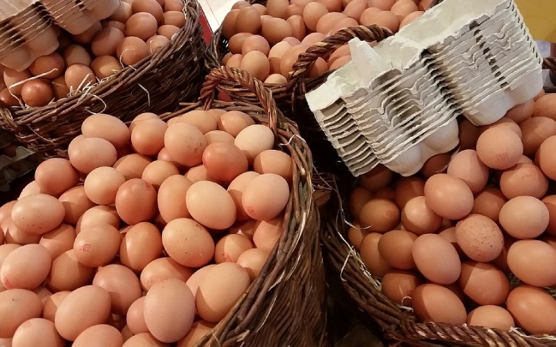 Giá trứng gà hôm nay 27/10