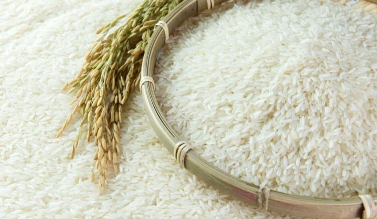 Giá lúa gạo hôm nay 27/10/2022: Lúa Nàng Hoa 9 tăng 200 đồng/kg