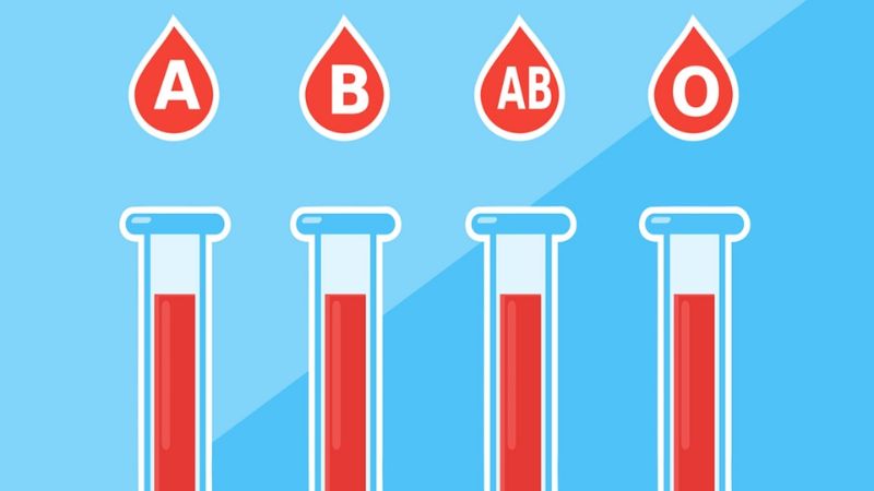 Có bao nhiêu nhóm máu ở người? Cách phân loại nhóm máu