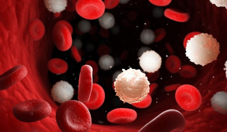 Có bao nhiêu nhóm máu ở người? Cách phân loại nhóm máu