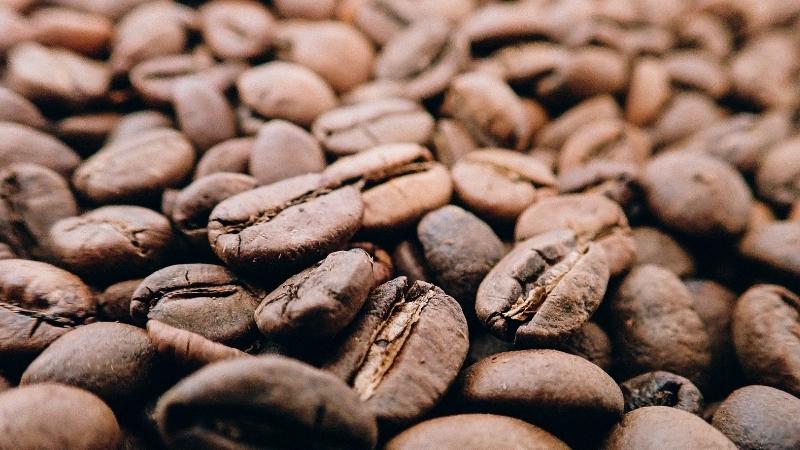 Giá cà phê trong nước hôm nay Giá cà phê trong nước hôm nay