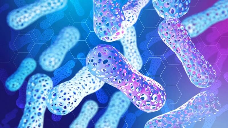 Probiotics là một thành phần sinh ra trong quá trình lên men sữa chua