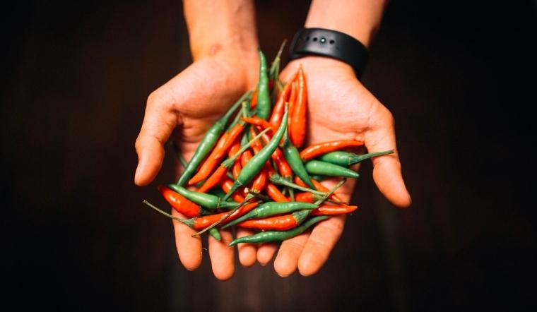 Giá ớt hôm nay 29/10/2022: Giá ớt giảm mạnh đột ngột