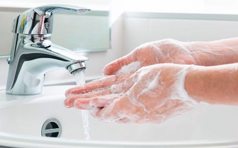 Không vệ sinh bàn tay trước khi rửa thực phẩm sẽ dễ lây nhiễm vi khuẩn