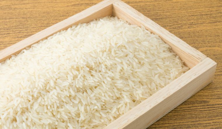 Giá lúa gạo hôm nay 2/11/2022: Lúa IR 50404 tăng 50 đồng/kg