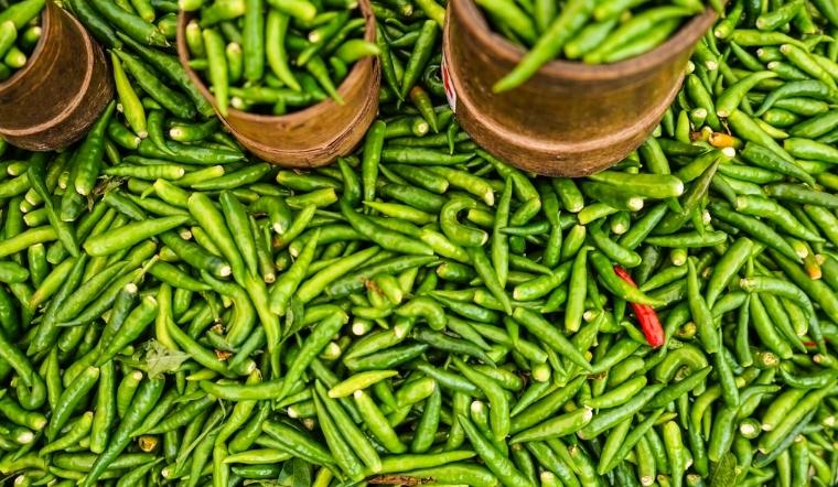 Giá ớt hôm nay 02/11/2022: Thị trường tiếp tục đi ngang