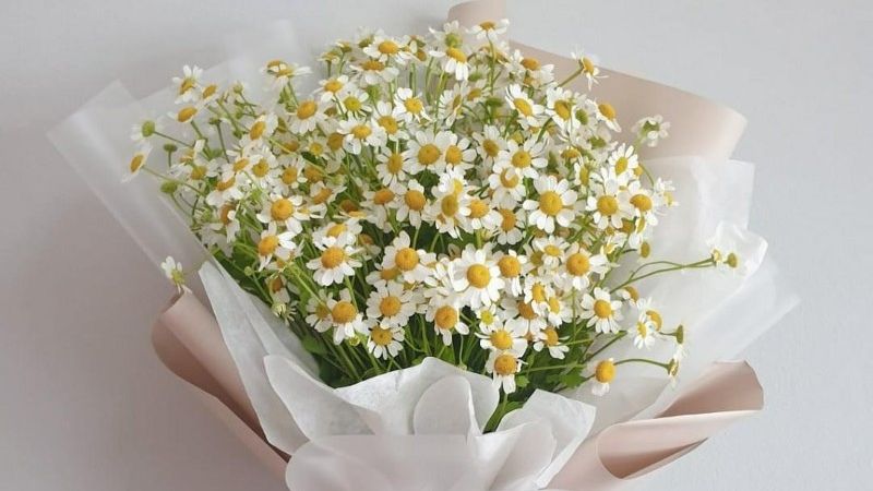 Simple and elegant daisy bouquet