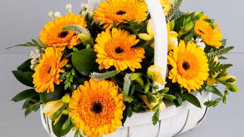 Simple yet vibrant basket of flowers