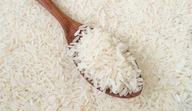 Giá lúa gạo hôm nay 3/11/2022: Tăng 50-100 đồng/kg ở vài giống lúa