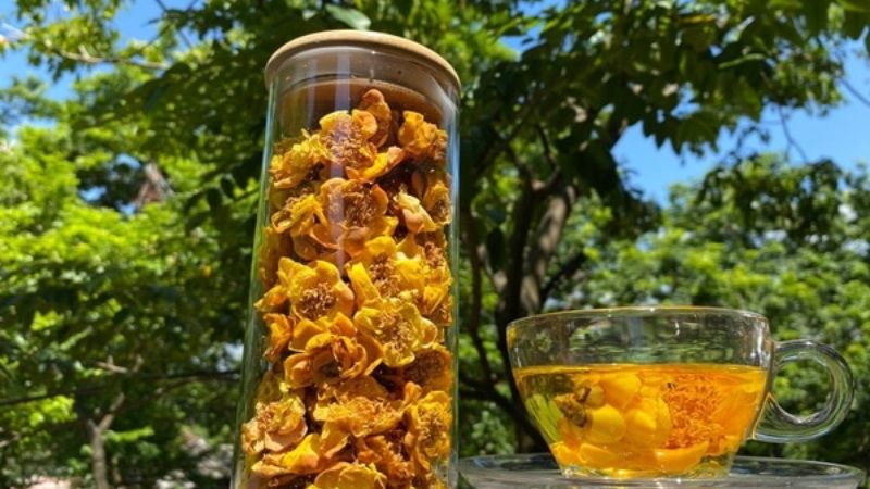 Những lưu ý khi dùng trà hoa vàng