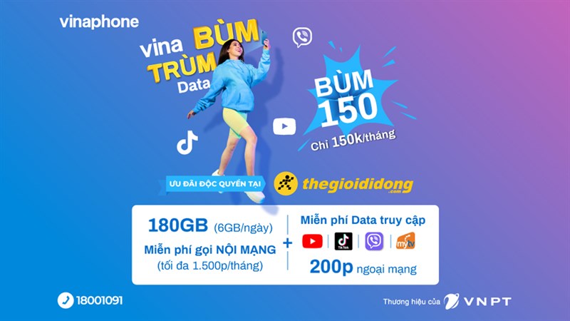 Vina bùm - Trùm data