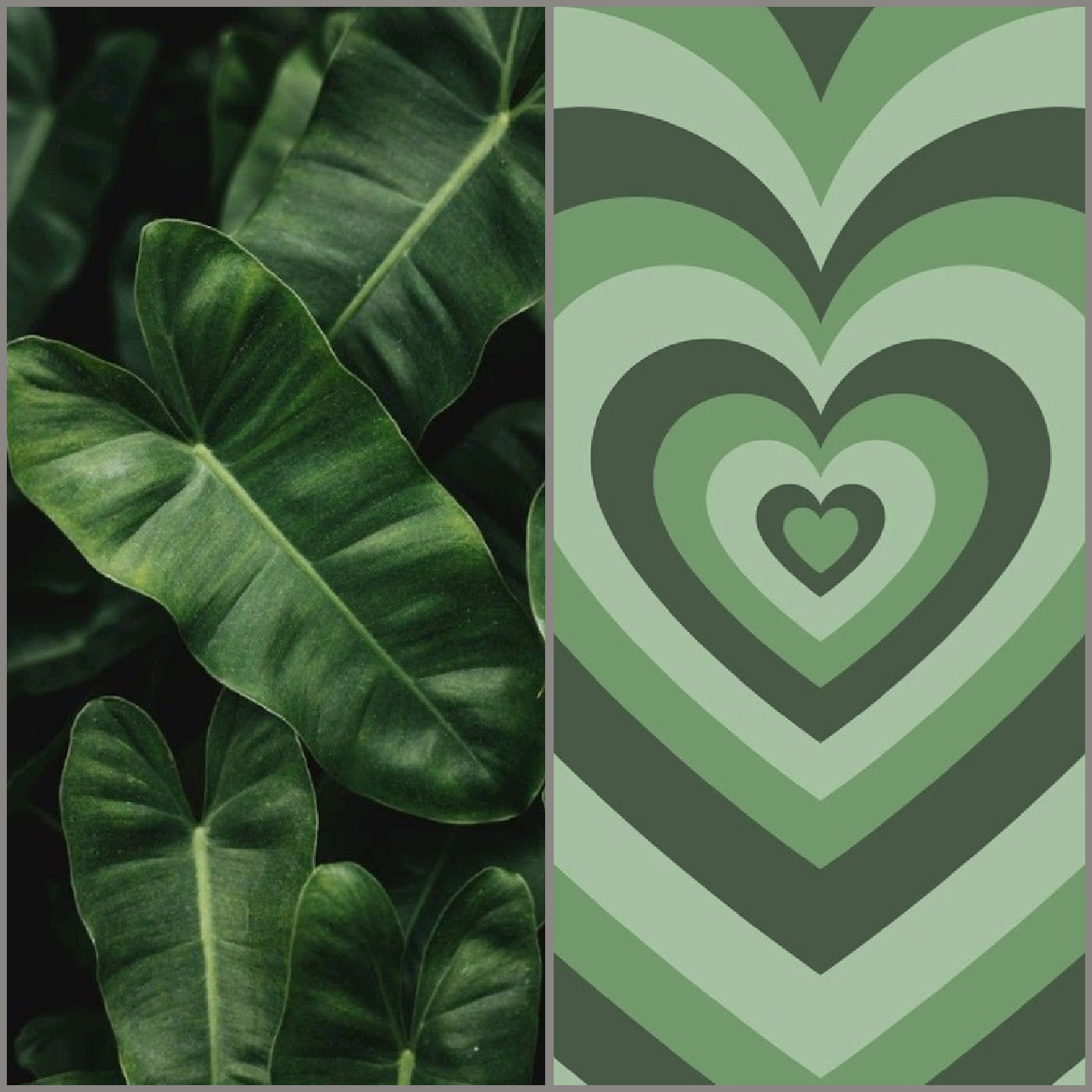 Hình nền xanh lá cây cho iPhone cute và đẹp mắt, tải ngay bạn nhé!