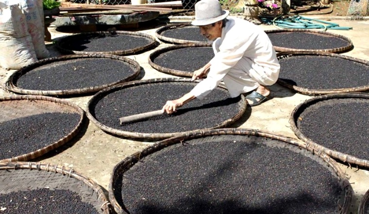 Giá tiêu hôm nay 4/11/2022: Tiếp tục ổn định, dao động 56.000-59.000 đồng/kg