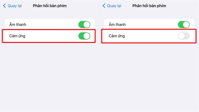 Cách tắt phản hồi xúc giác trên iPhone 14