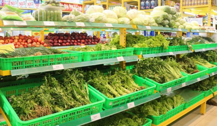 Giới thiệu các loại hàng hóa đang kinh doanh tại Bách hóa XANH