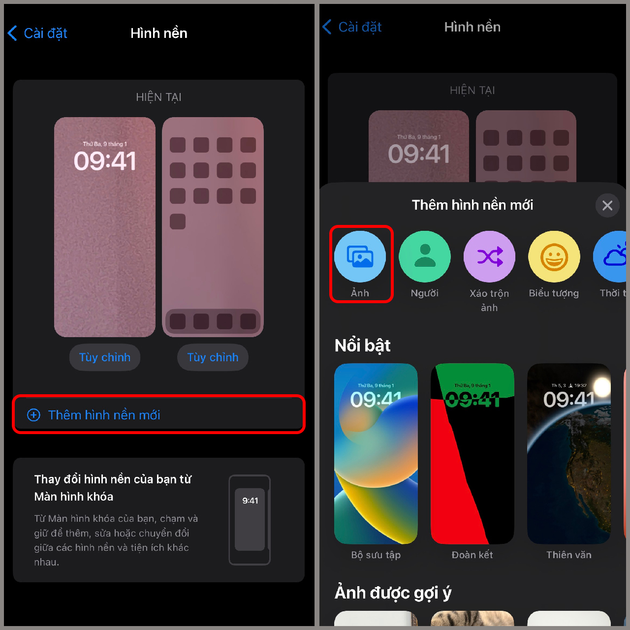 Những chiếc điện thoại iPhone luôn được biết đến với quả táo đặc trưng trên logo. Và giờ đây, hãy cùng tô điểm cho chiếc điện thoại của bạn với bộ sưu tập hình nền quả táo iPhone để tạo nên màn hình độc đáo và tinh tế hơn bao giờ hết.