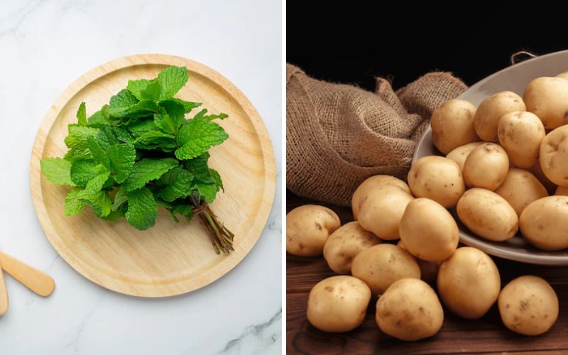 Ingredients for Treating Dark Circles Under the Eyes with Peppermint Leaves and Potatoes