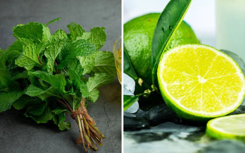 Treating Dark Circles Under the Eyes with Peppermint Leaves and Lemons