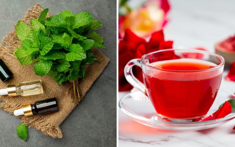 Treating Dark Circles Under the Eyes with Peppermint Leaves and Rose Water