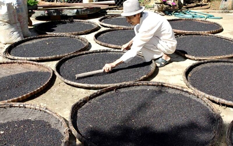 Giá tiêu hôm nay 5/11/2022 trong nước