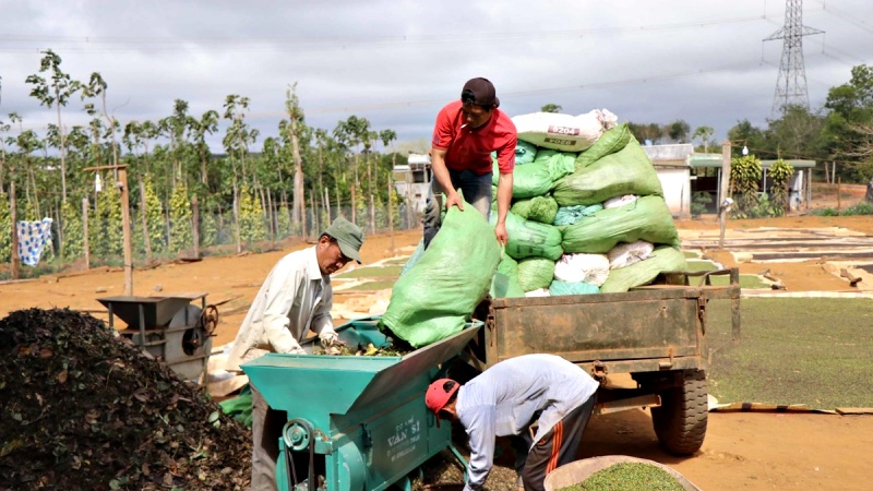 Giá tiêu thế giới