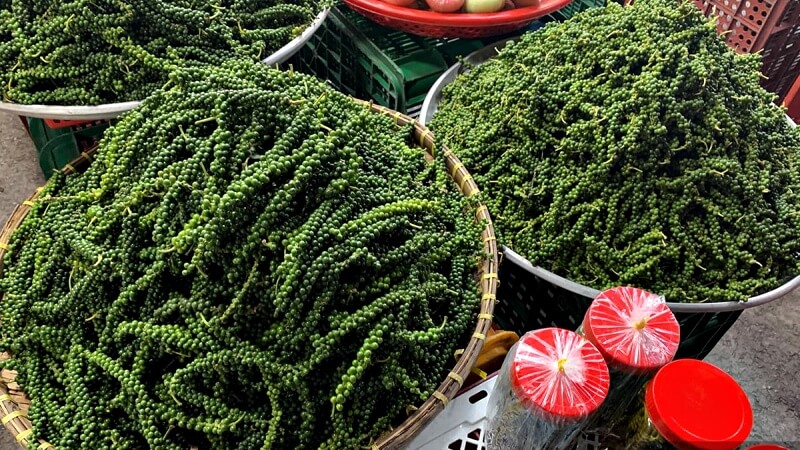 Giá tiêu thế giới Giá tiêu thế giới