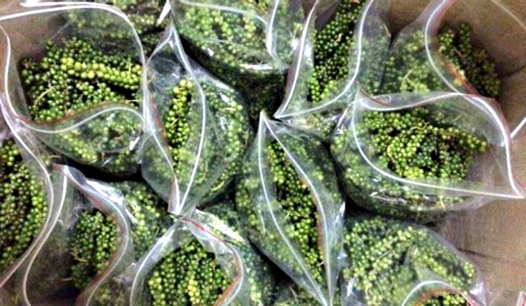 Giá tiêu hôm nay 9/11/2022: Giữ nguyên, dao động 58.500-62.000 đồng/kg