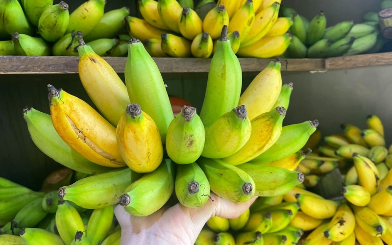 What are areca bananas? How many calories are in a banana? The effect of areca bananas