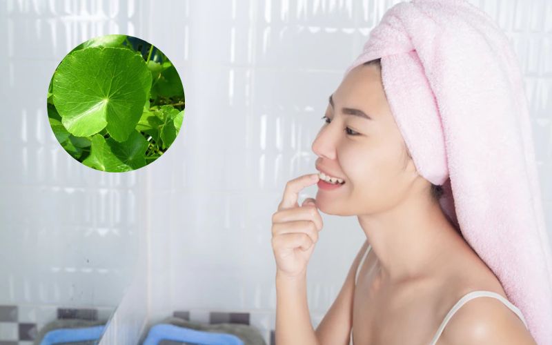 Rau má cũng rất tốt cho những ai bị nám da