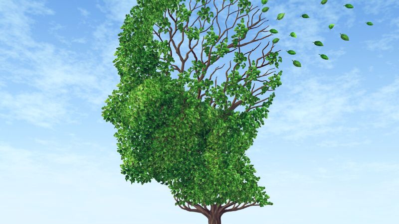 Chứng suy giảm trí nhớ