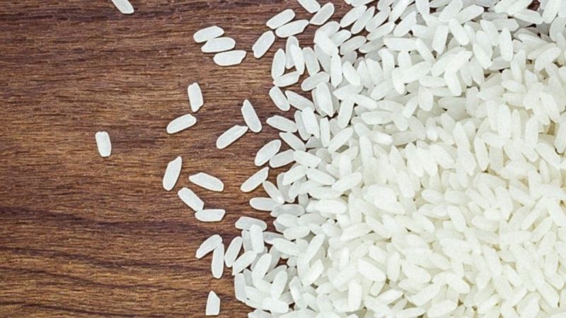 Gạo Đài Loan là gạo gì? Đặc tính của giống gạo Đài Loan
