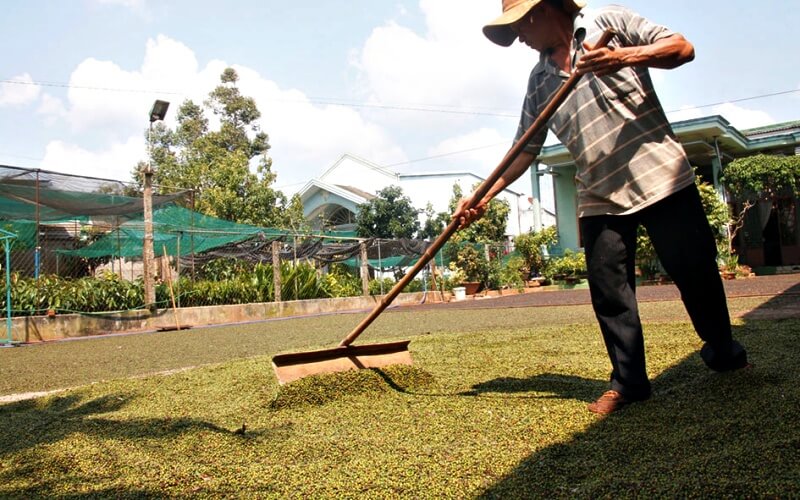 Giá tiêu thế giới
