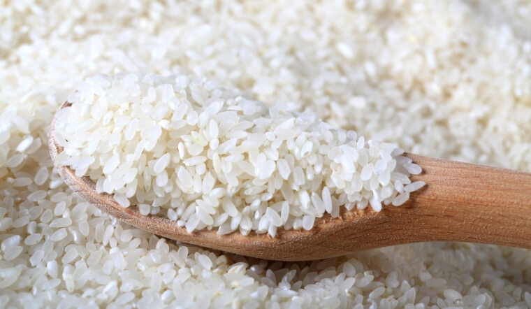 Giá lúa gạo hôm nay 12/11/2022: Tiếp tục đi ngang trong ngày cuối tuần