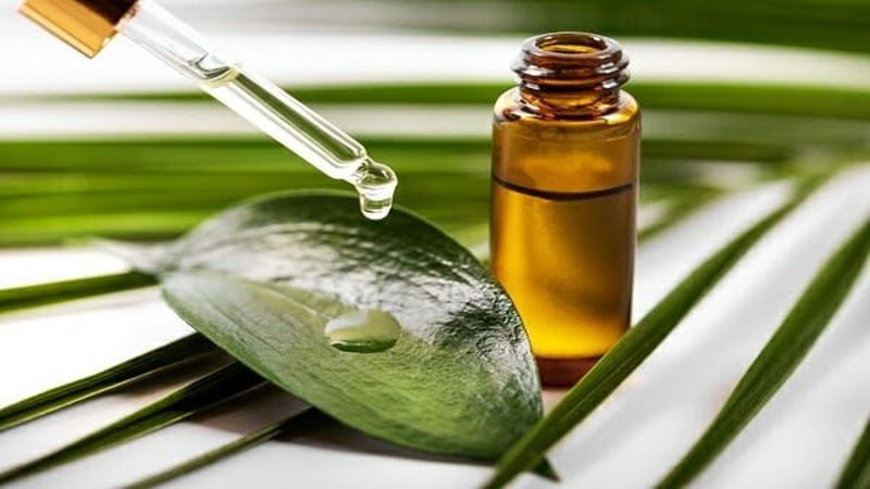 Không chạm vào da Không chạm vào da