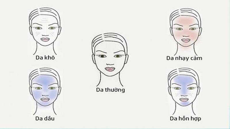 Xác định đúng loại da Xác định đúng loại da