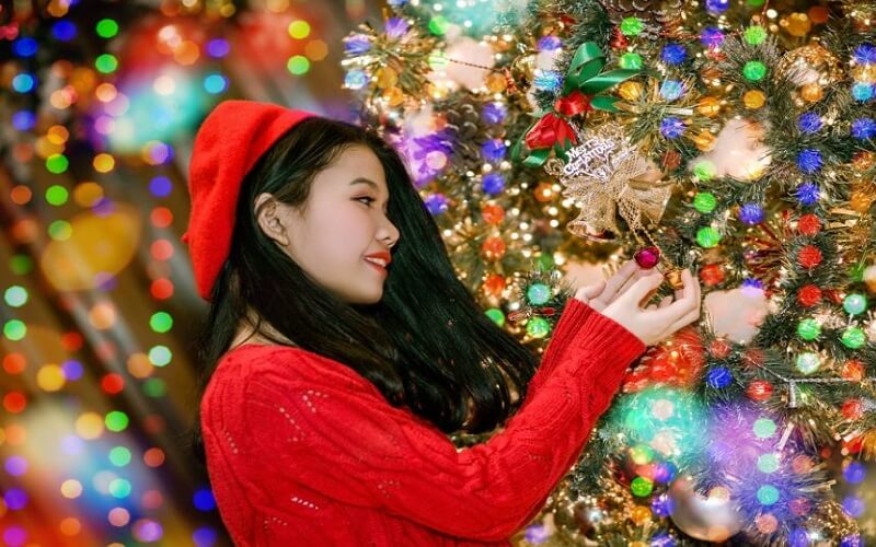 Gợi ý Phông nền, Phụ kiện chụp ảnh sản phẩm Noel gợi ý cho bạn- Nai Decor