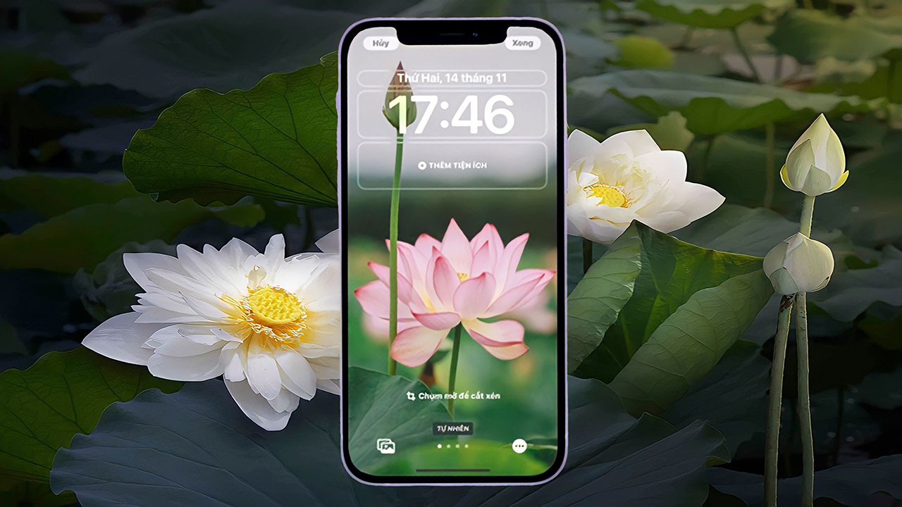 Tạo điểm nhấn cho màn hình hình nền hoa cho iphone với nhiều mẫu đẹp và sáng tạo